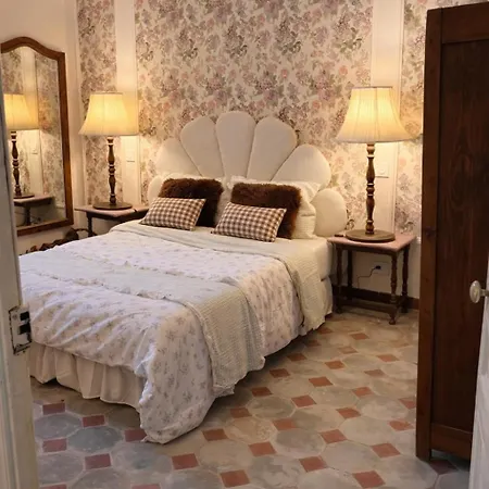 Hébergement de vacances Maison De Maître En Provence - Charme Et Ancien Beaucaire (Gard)